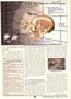 Page: - 21 | The American Chiropractor