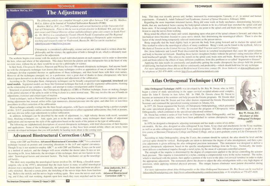 The Adjustment