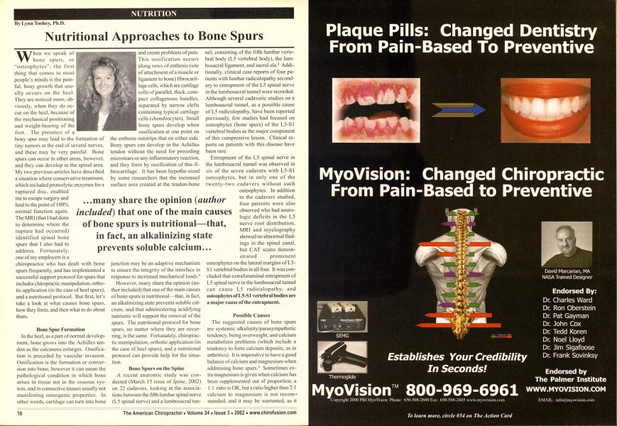 Nutritional Approaches to Bone Spurs