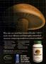 Page: - 3 | The American Chiropractor