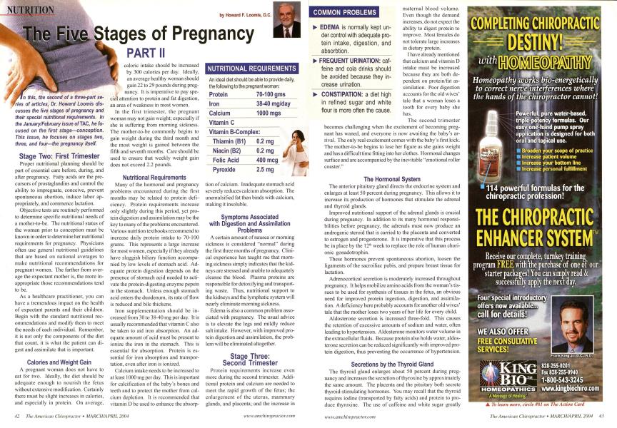 The Five Stages of Pregnancy: Part II