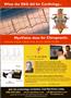 Page: - 35 | The American Chiropractor