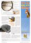 Page: - 41 | The American Chiropractor