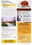 Page: - 29 | The American Chiropractor