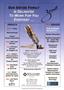 Page: - 30 | The American Chiropractor