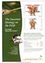 Page: - C4 | The American Chiropractor