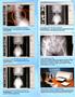 Page: - 2 | The American Chiropractor