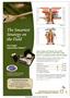 Page: - C4 | The American Chiropractor