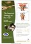 Page: - C4 | The American Chiropractor