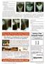 Page: - 20 | The American Chiropractor