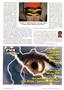 Page: - 31 | The American Chiropractor