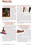 Page: - 10 | The American Chiropractor