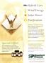 Page: - 7 | The American Chiropractor