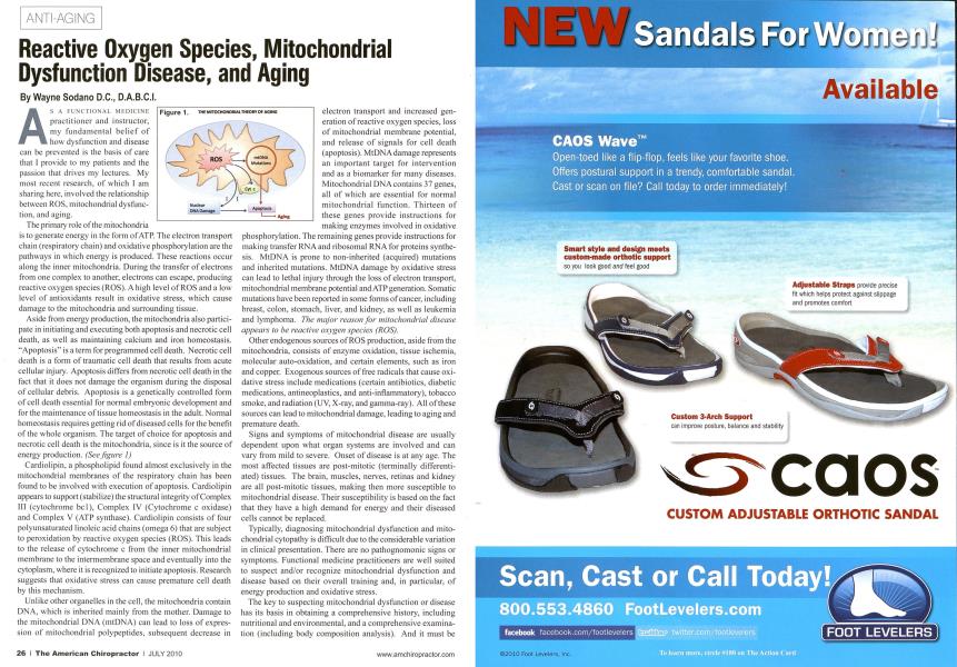 Reactive Oxygen Species, Mitochondrial Dysfunction Disease, and Aging
