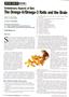 Page: - 12 | The American Chiropractor
