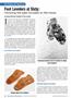 Page: - 44 | The American Chiropractor