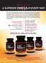 Page: - 15 | The American Chiropractor