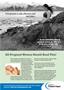 Page: - 11 | The American Chiropractor