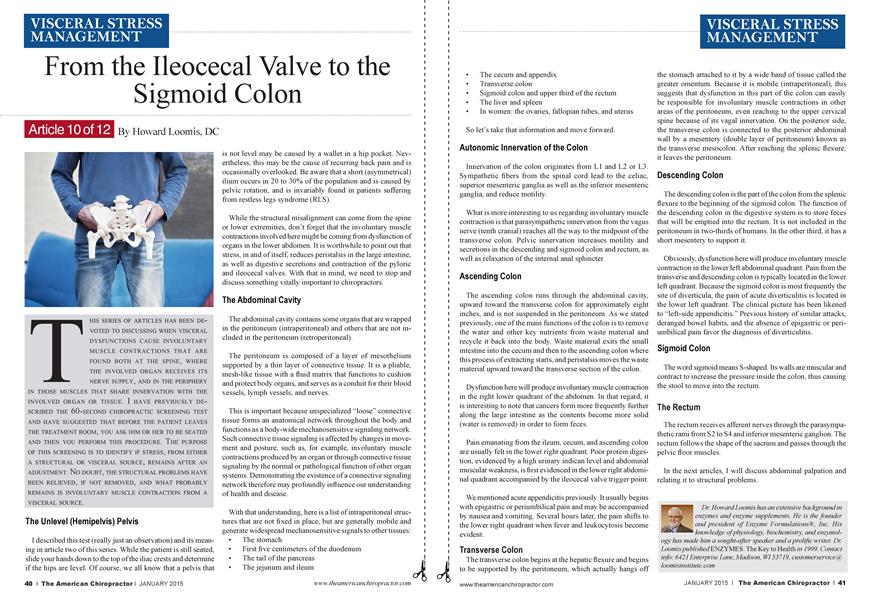 From the Ileocecal Valve to the Sigmoid Colon