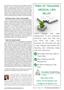 Page: - 9 | The American Chiropractor