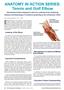 Page: - 22 | The American Chiropractor