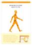 Page: - 1 | The American Chiropractor