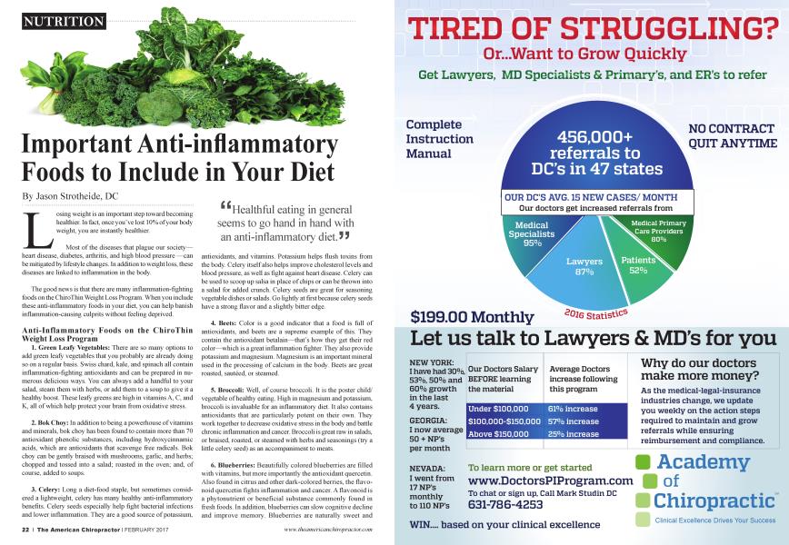 Important Anti-inflammatory Foods to Include in Your Diet