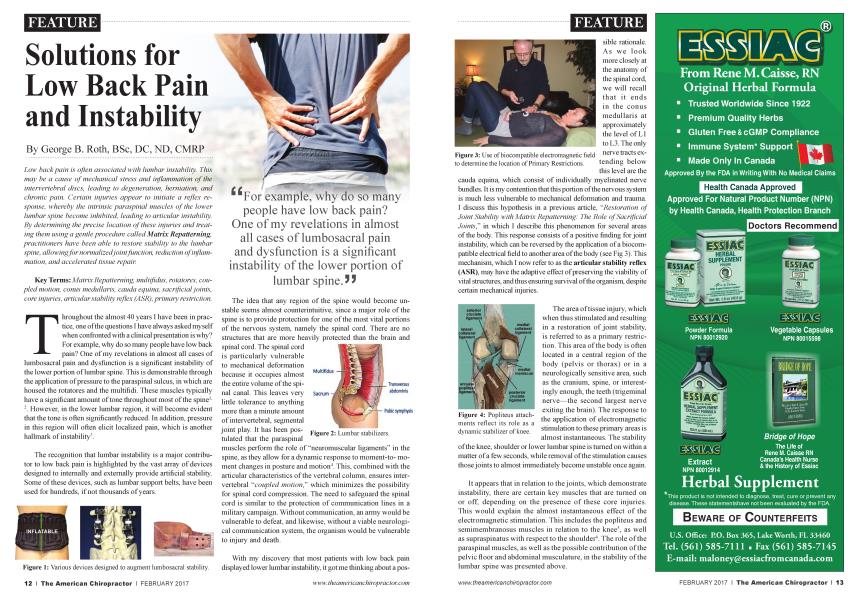 Solutions for Low Back Pain and Instability