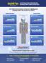 Page: - 33 | The American Chiropractor