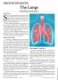 Page: - 34 | The American Chiropractor