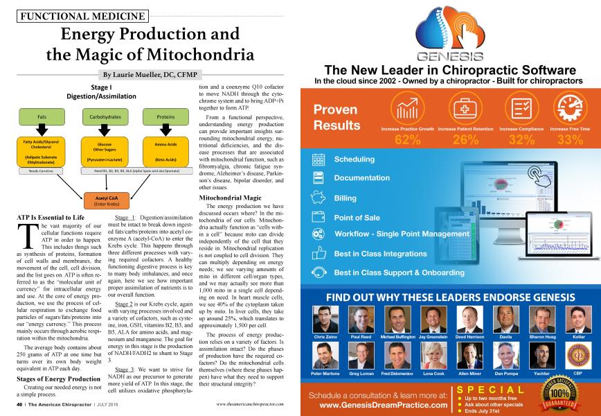 Energy Production and the Magic of Mitochondria