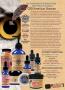 Page: - 41 | The American Chiropractor