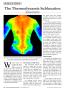 Page: - 46 | The American Chiropractor