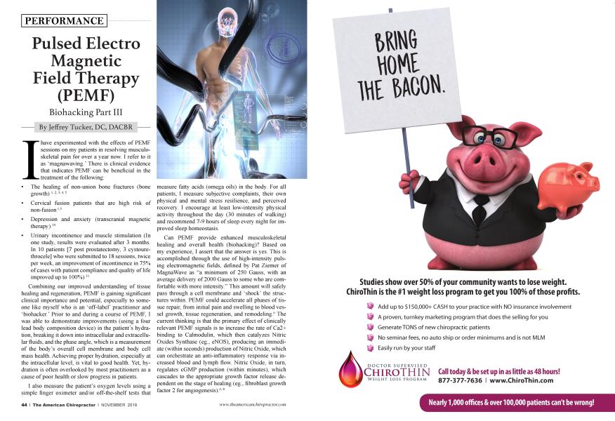 Pulsed Electro Magnetic Field Therapy (PEMF)