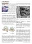 Page: - 30 | The American Chiropractor