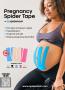 Page: - 5 | The American Chiropractor