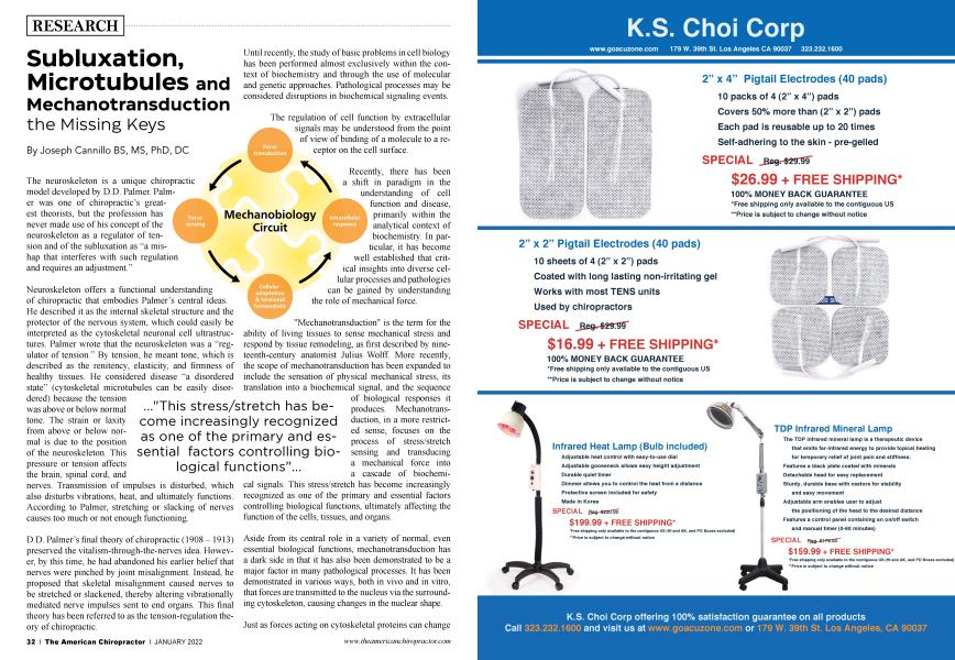 Subluxation, Microtubules and Mechanotransduction the Missing Keys