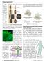 Page: - 44 | The American Chiropractor