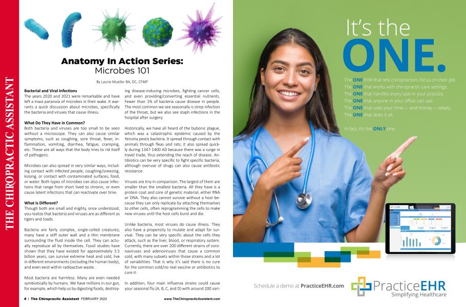 Anatomy In Action Series: Microbes 101