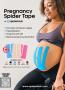 Page: - 15 | The American Chiropractor