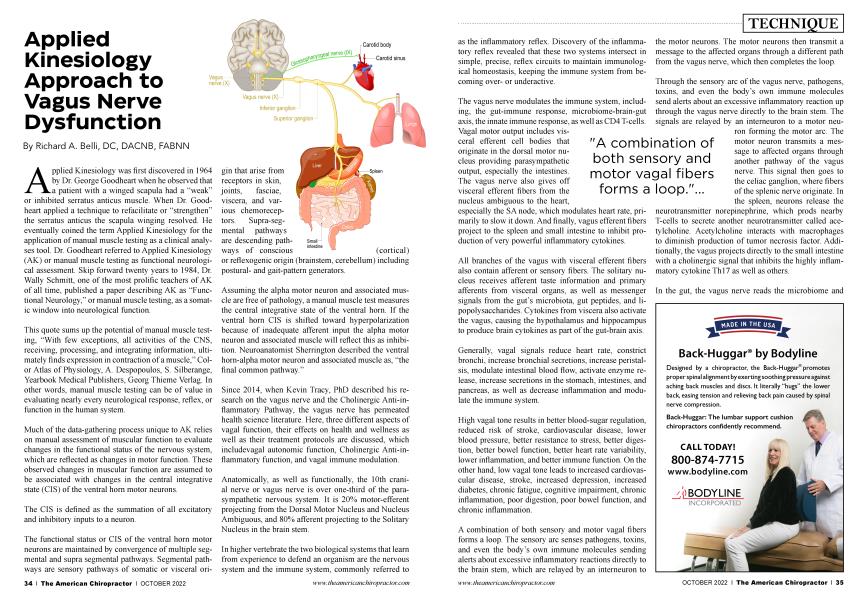 Applied Kinesiology Approach to Vagus Nerve Dysfunction