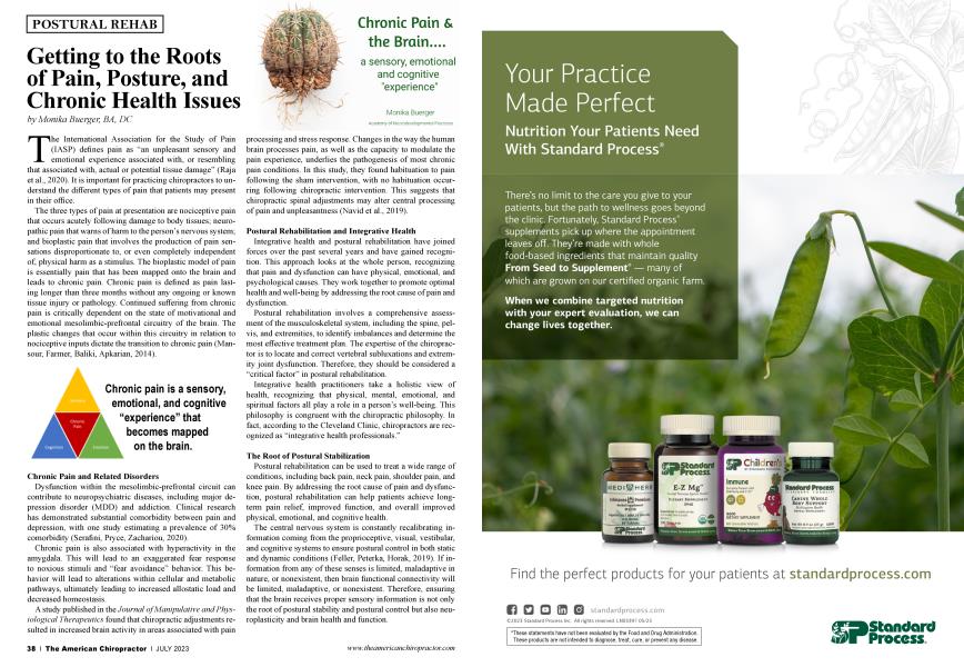 Getting to the Roots of Pain, Posture, and Chronic Health Issues