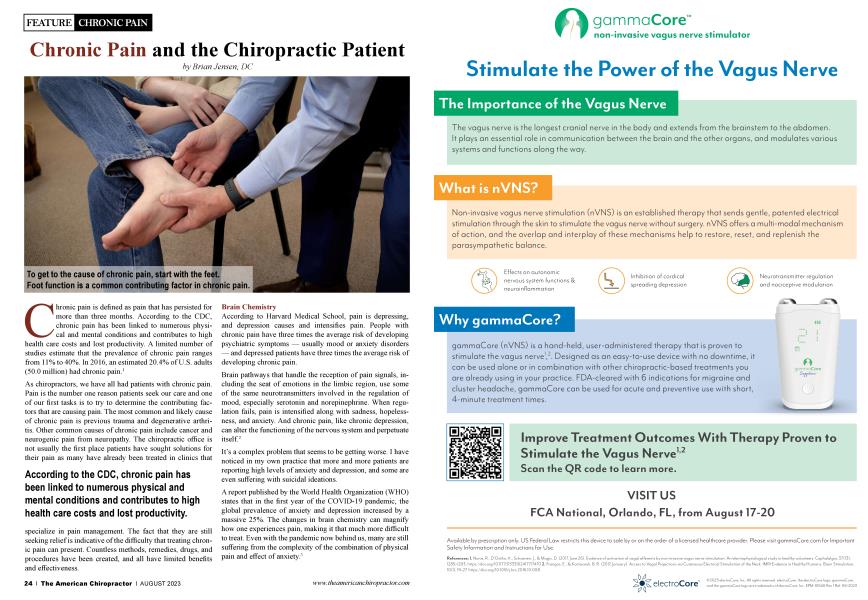 Chronic Pain and the Chiropractic Patient