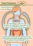 Page: - 2 | The American Chiropractor