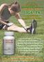 Page: - 3 | The American Chiropractor
