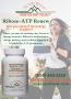 Page: - 19 | The American Chiropractor