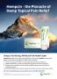 Page: - 21 | The American Chiropractor